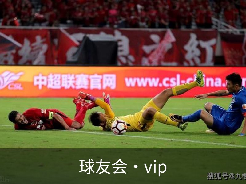 球友会·vip简介